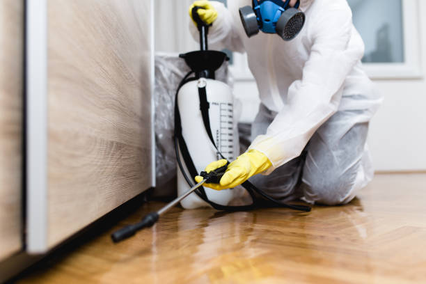 Best Flea Control Services  in Carencro, LA
