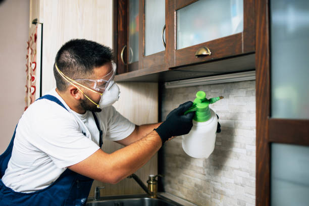 Best Commercial Pest Control Services  in Carencro, LA