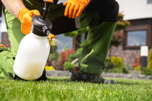 Best Local Pest Control Services  in Carencro, LA