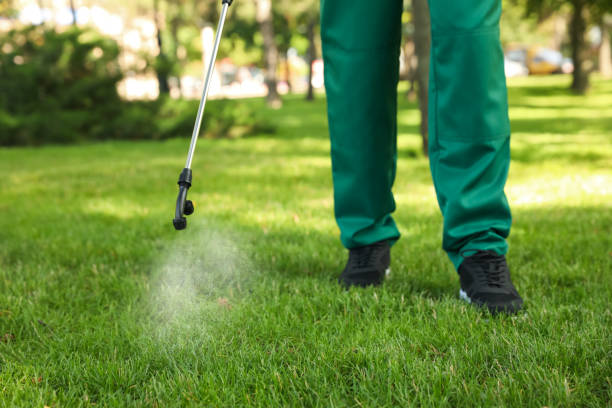 Pest Control Cost in Carencro, LA