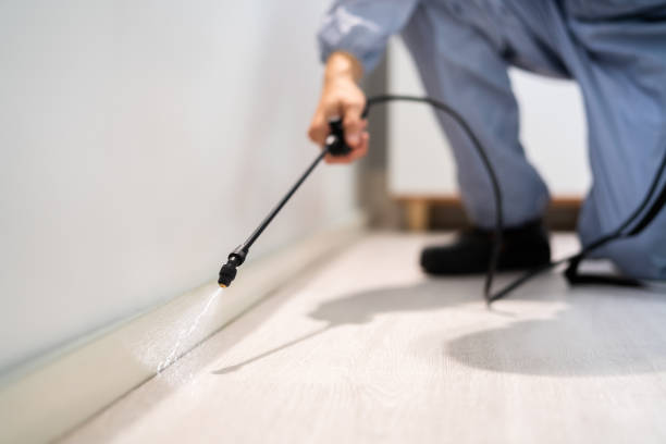 Flea Control Services in Carencro, LA