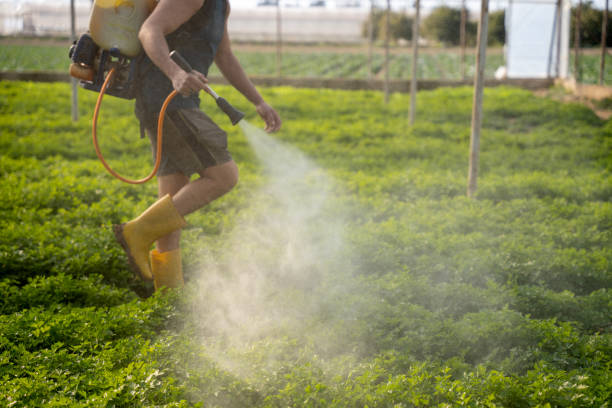 Best Pest Control Cost  in Carencro, LA