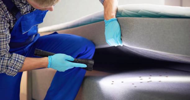 Best Pest Control Near Me  in Carencro, LA