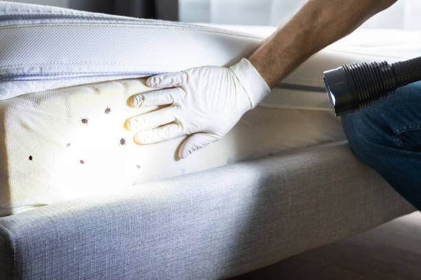 Best Wildlife Control Services  in Carencro, LA