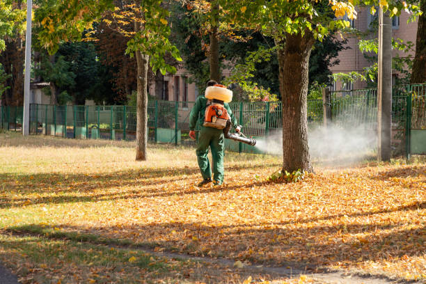 Best Pest Removal Services  in Carencro, LA