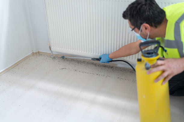 Best Best Pest Control Near Me  in Carencro, LA