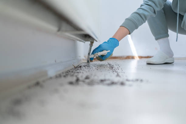 Trusted Carencro, LA Pest Control Experts