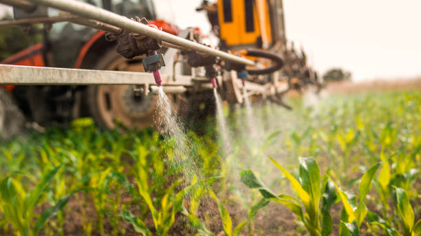 Best Pest Control Near Me in Carencro, LA